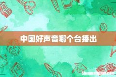 中国好声音哪个台播出