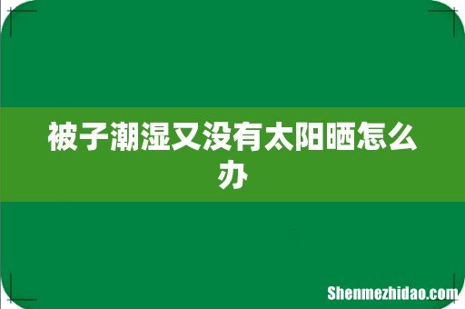 被子潮湿又没有太阳晒怎么办
