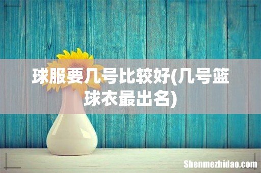 几号篮球衣最出名 球服要几号比较好