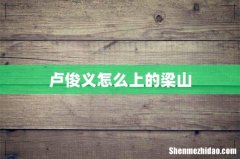 卢俊义怎么上的梁山