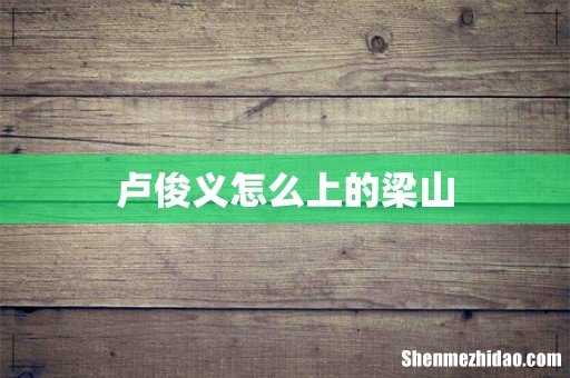 卢俊义怎么上的梁山