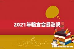2021年粮食会暴涨吗