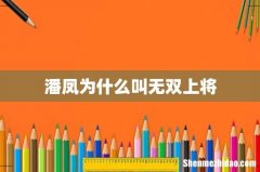 潘凤为什么叫无双上将