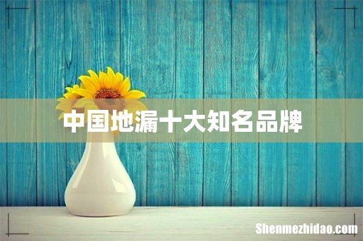 中国地漏十大知名品牌