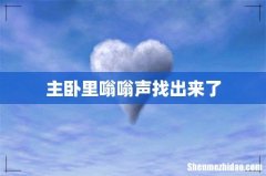 主卧里嗡嗡声找出来了