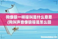 狗叫声音像狼嚎是怎么回事？ 狗像狼一样嚎叫是什么意思