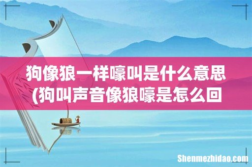 狗叫声音像狼嚎是怎么回事? 狗像狼一样嚎叫是什么意思