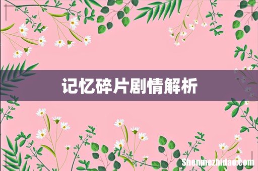 记忆碎片剧情解析
