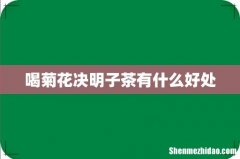 喝菊花决明子茶有什么好处