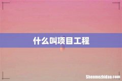 什么叫项目工程
