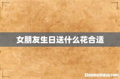 女朋友生日送什么花合适
