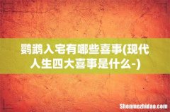现代人生四大喜事是什么- 鹦鹉入宅有哪些喜事