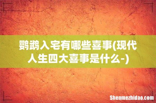 现代人生四大喜事是什么- 鹦鹉入宅有哪些喜事