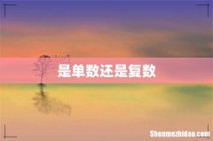 是单数还是复数