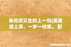 离离原上草，一岁一枯荣。 野火烧不尽，春风吹又生。这首诗还有下文吗,还是就是这样-它叫