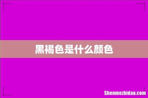 黑褐色是什么颜色