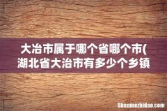 湖北省大治市有多少个乡镇 大冶市属于哪个省哪个市