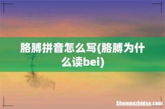 胳膊为什么读bei 胳膊拼音怎么写