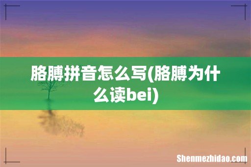 胳膊为什么读bei 胳膊拼音怎么写