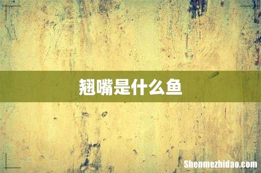 翘嘴是什么鱼