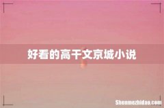 好看的高干文京城小说