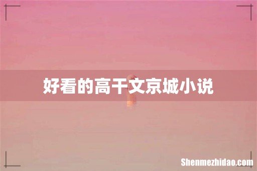 好看的高干文京城小说