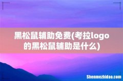 考拉logo的黑松鼠辅助是什么 黑松鼠辅助免费