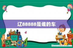 辽88888是谁的车