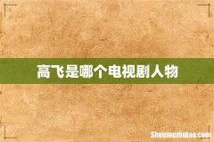 高飞是哪个电视剧人物