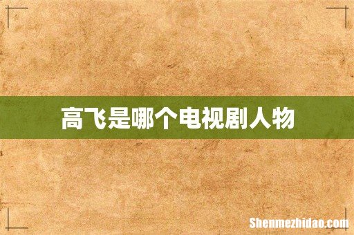 高飞是哪个电视剧人物