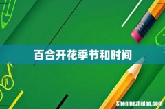 百合开花季节和时间