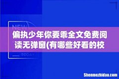 有哪些好看的校园小说可以推荐- 偏执少年你要乖全文免费阅读无弹窗