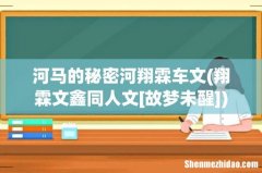 翔霖文鑫同人文[故梦未醒] 河马的秘密河翔霖车文