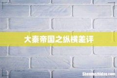 大秦帝国之纵横差评