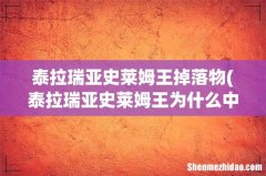 泰拉瑞亚史莱姆王为什么中间有个忍者？是每次都有的吗？史莱姆王掉落什么？ 泰拉瑞亚史莱