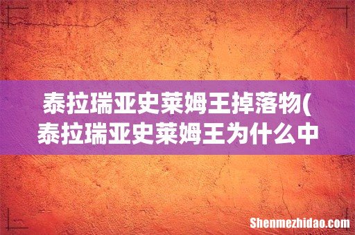 泰拉瑞亚史莱姆王为什么中间有个忍者？是每次都有的吗？史莱姆王掉落什么？ 泰拉瑞亚史莱姆王掉落物