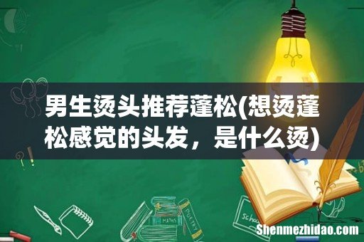 想烫蓬松感觉的头发,是什么烫 男生烫头推荐蓬松