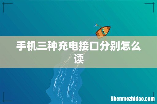 手机三种充电接口分别怎么读