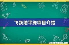 飞跃地平线项目介绍