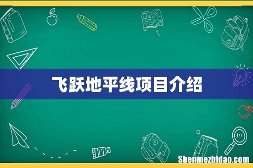 飞跃地平线项目介绍