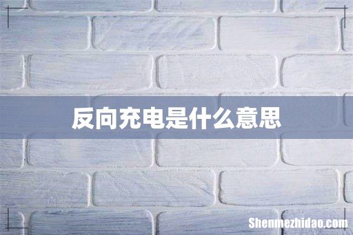 反向充电是什么意思