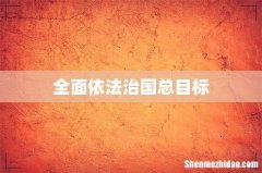 全面依法治国总目标