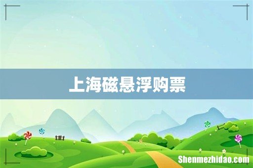 上海磁悬浮购票