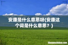 安康这个词是什么意思？ 安康是什么意思呀