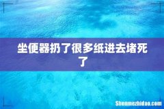 坐便器扔了很多纸进去堵死了