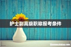 护士副高级职称报考条件