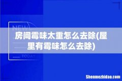 屋里有霉味怎么去除 房间霉味太重怎么去除