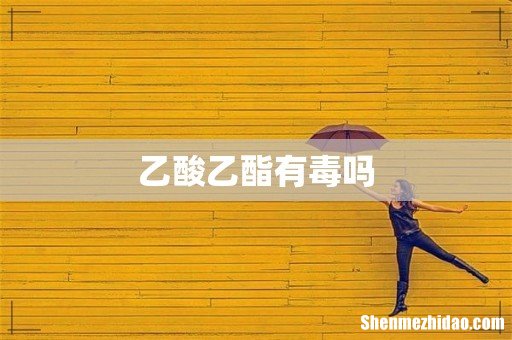 乙酸乙酯有毒吗