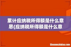应纳税所得额是什么意思 给大家解释一下 累计应纳税所得额是什么意思