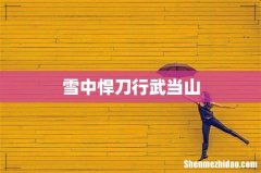 雪中悍刀行武当山
